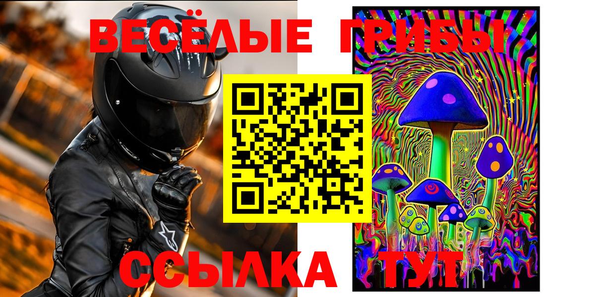Псилоцибиновые грибы Cubensis  Вход с VPN  Щёлково  Галлюциногенные грибы прущие грибы 